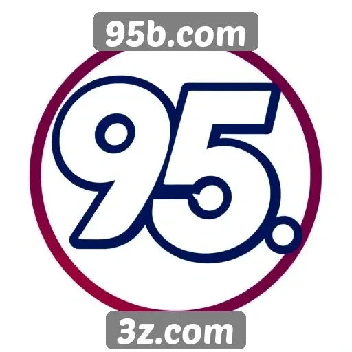 Principais recursos do site 95b.com analisados